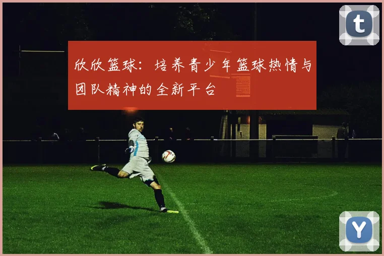 欣欣篮球：培养青少年篮球热情与团队精神的全新平台