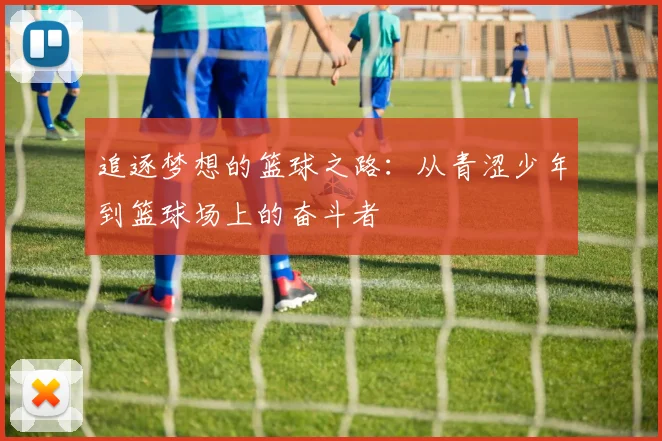 追逐梦想的篮球之路：从青涩少年到篮球场上的奋斗者