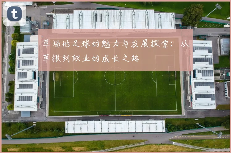 草场地足球的魅力与发展探索：从草根到职业的成长之路